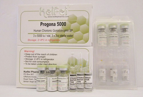 Progonda 5000